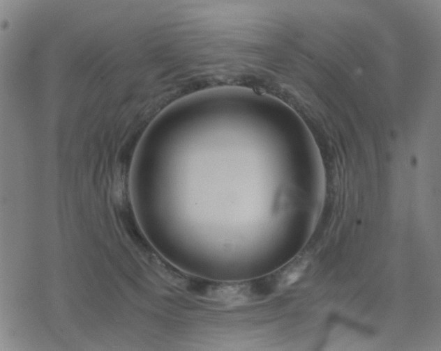 X0000076350129200610061535