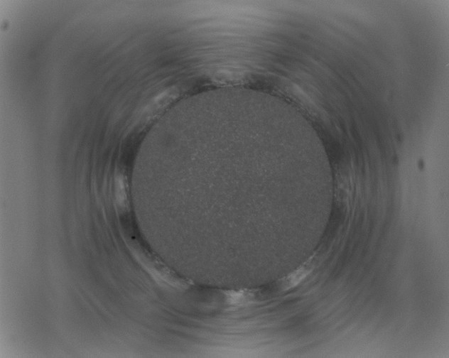 X0000076350130200610061535