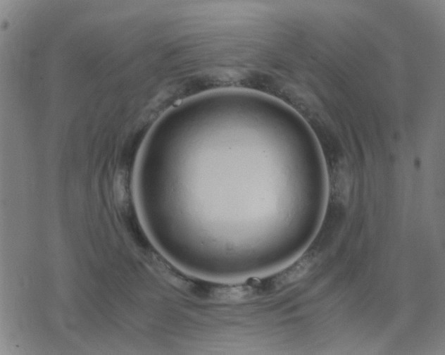 X0000076350131200610061535