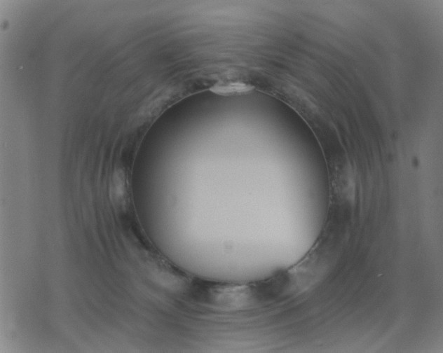 X0000076350132200610061535