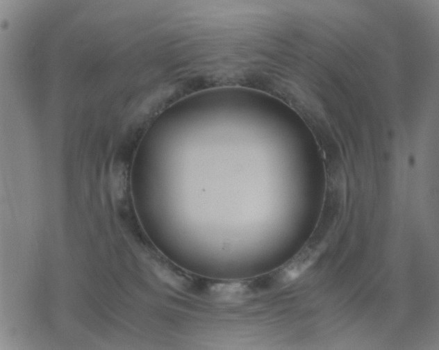 X0000076350133200610061535