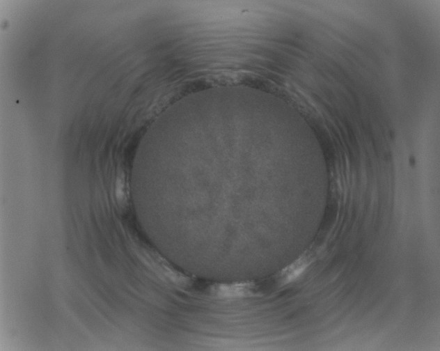 X0000076350134200610061535