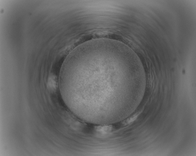 X0000076350135200610061535