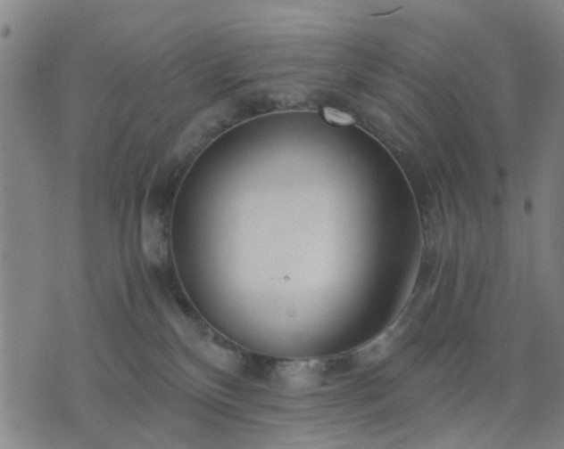 X0000076350136200610061535