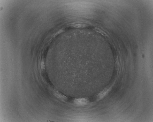 X0000076350137200610061535