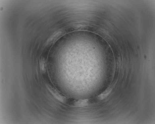 X0000076350138200610061535