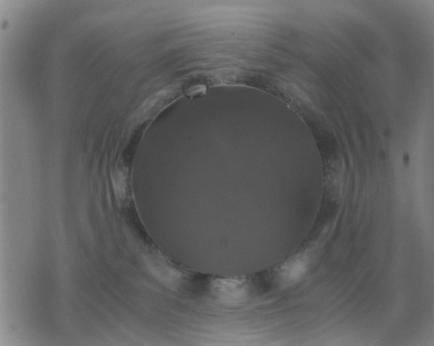 X0000076350139200610061535