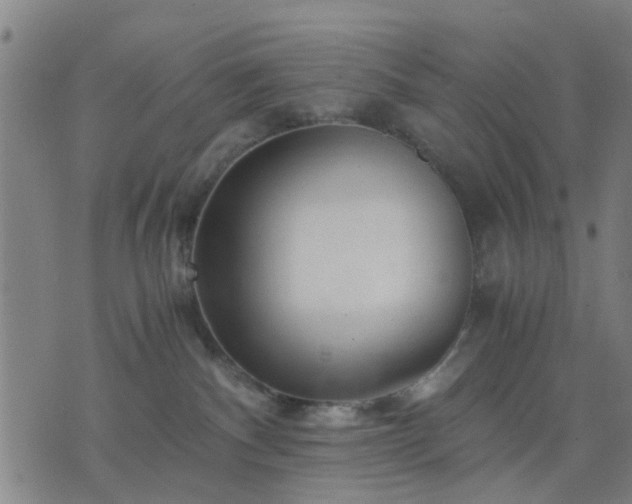 X0000076350140200610061535