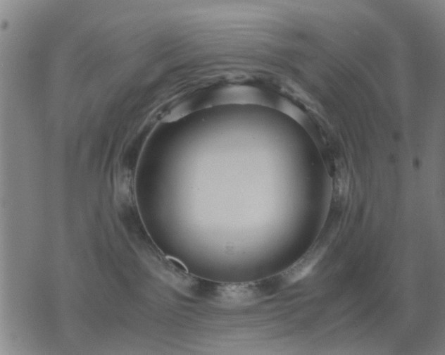 X0000076350141200610061535