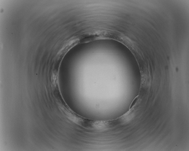 X0000076350142200610061535