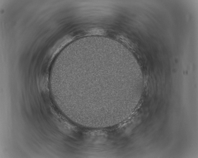 X0000076350146200610061534