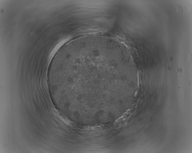 X0000076350147200610061534