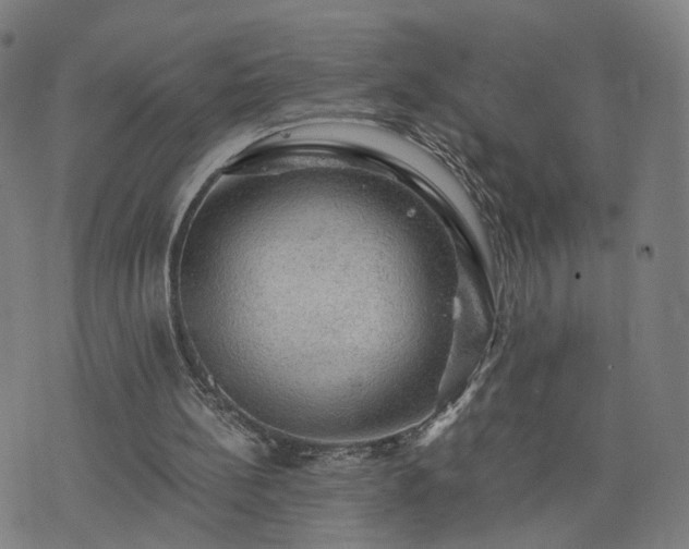 X0000076350148200610061534