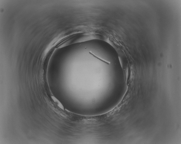 X0000076350150200610061534