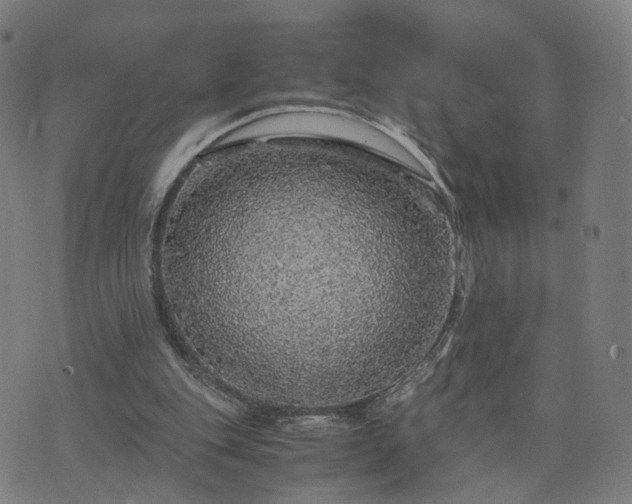 X0000076350151200610061534