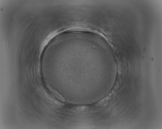 X0000076350152200610061534