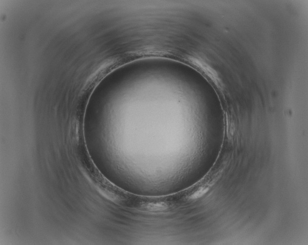 X0000076350157200610061535