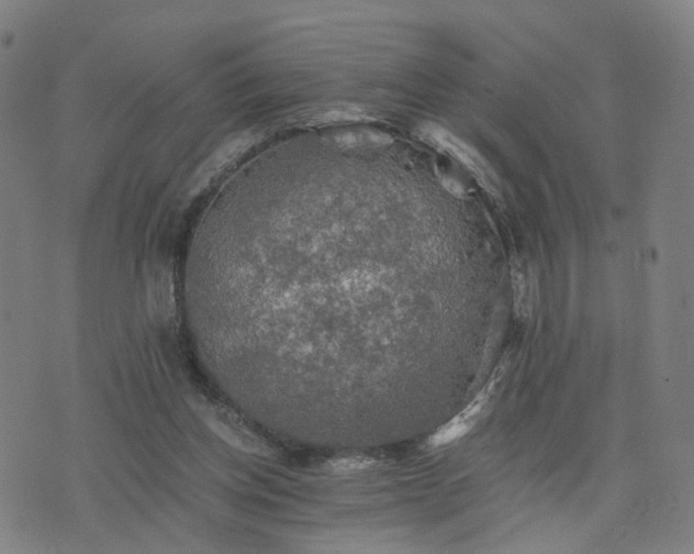 X0000076350158200610061535