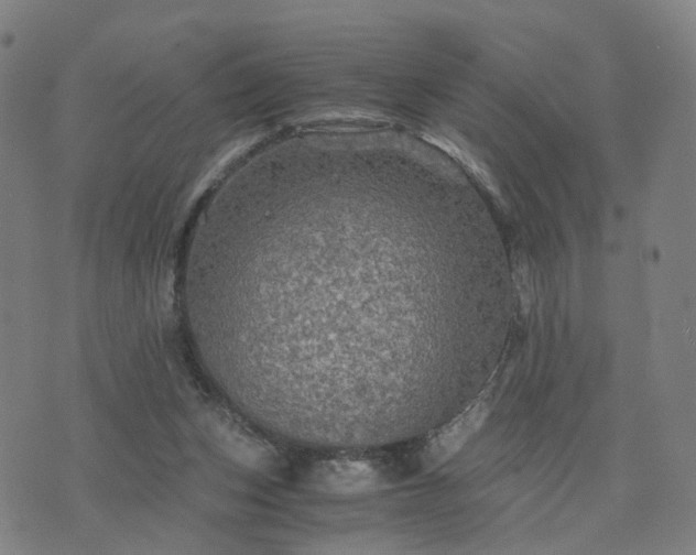 X0000076350159200610061535