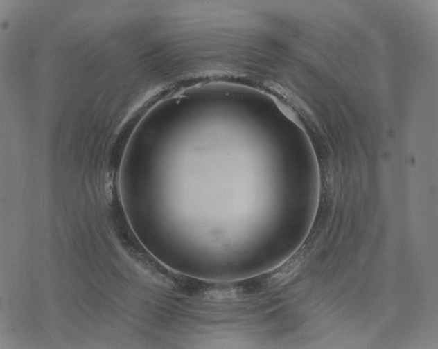 X0000076350160200610061535