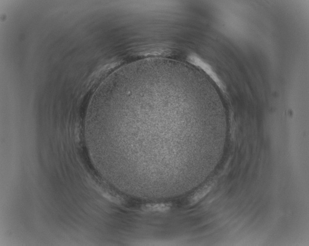 X0000076350161200610061535