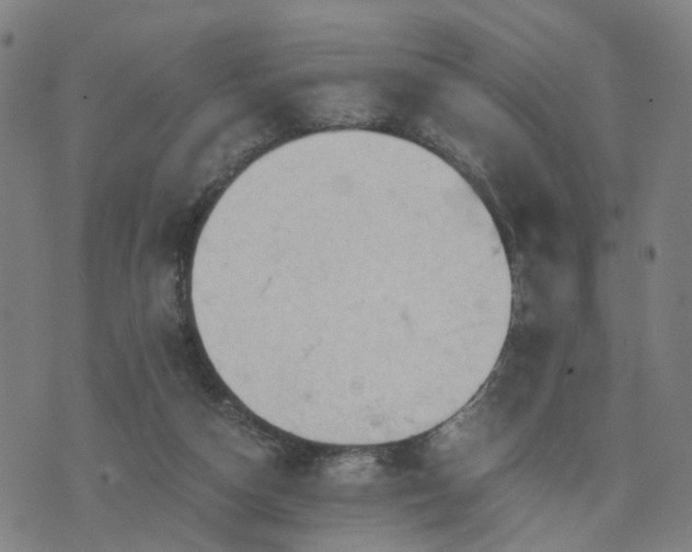 X0000076350162200610061535