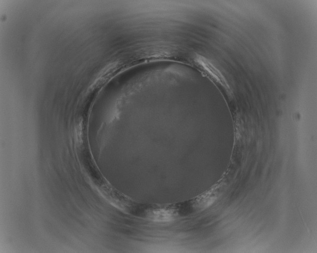 X0000076350163200610061535