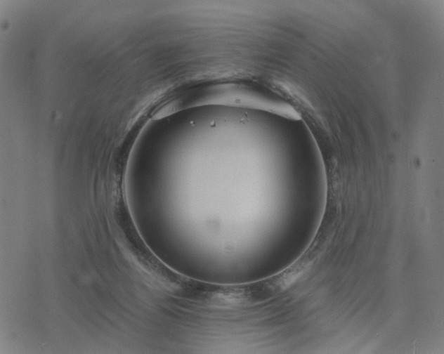 X0000076350164200610061535