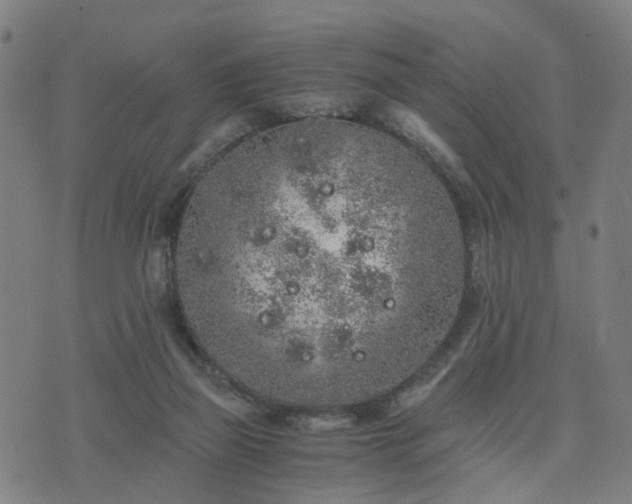 X0000076350165200610061535