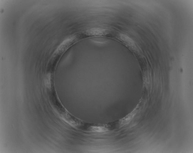 X0000076350167200610061535