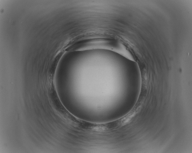 X0000076350168200610061535