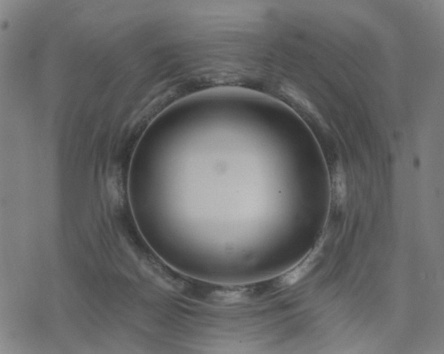 X0000076350170200610061535