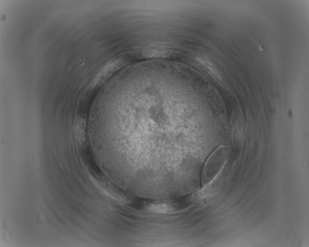 X0000076350171200610061535