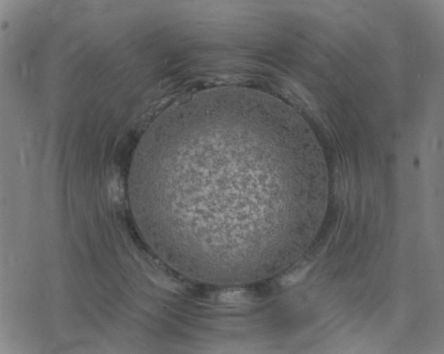 X0000076350173200610061535