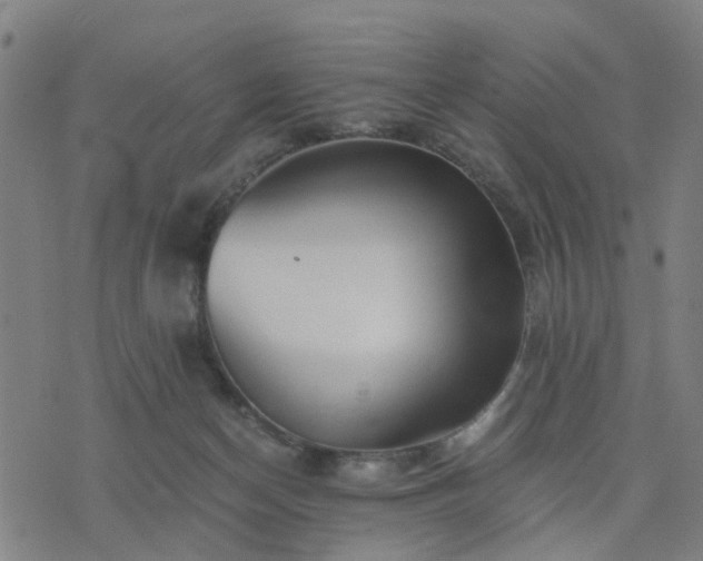 X0000076350174200610061535