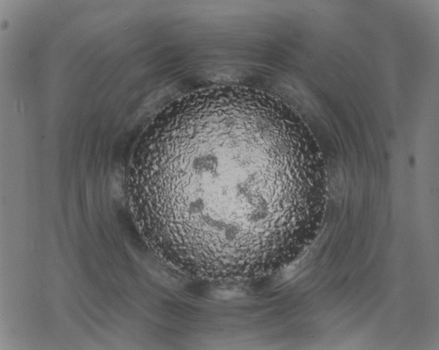 X0000076350175200610061535