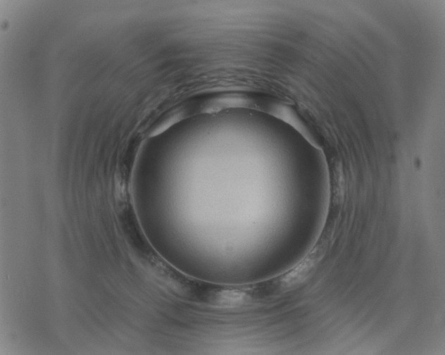 X0000076350176200610061535