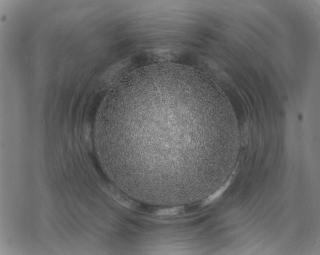 X0000076350178200610061535