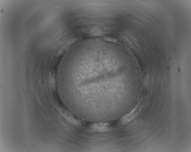 X0000076350179200610061535