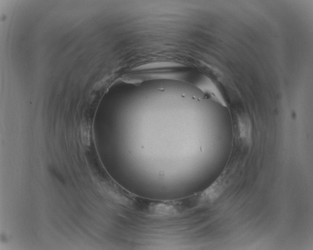 X0000076350180200610061535