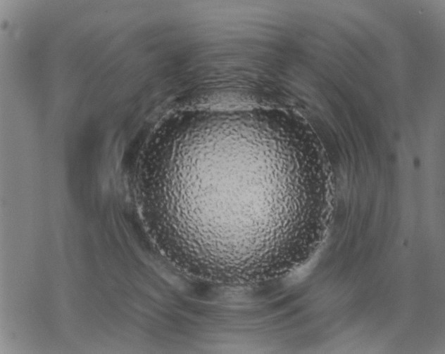 X0000076350182200610061535