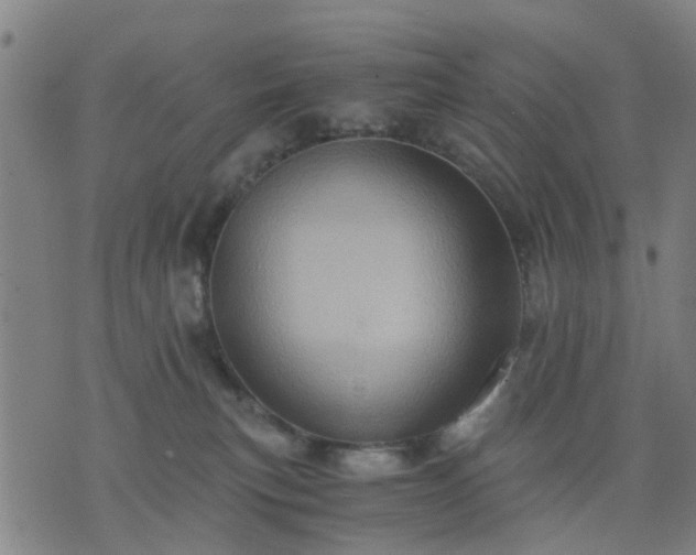 X0000076350183200610061535