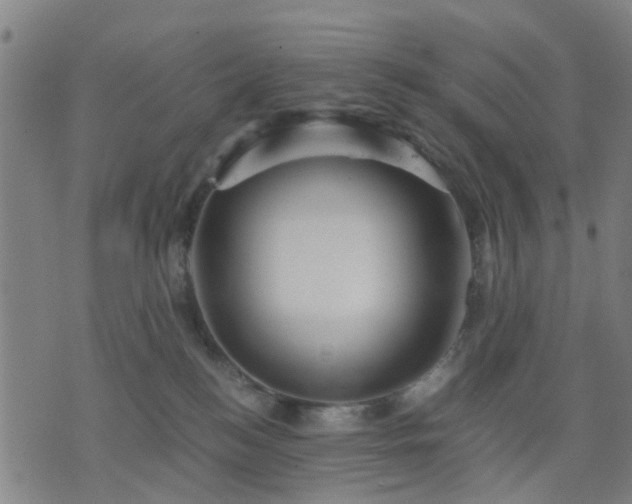 X0000076350184200610061535