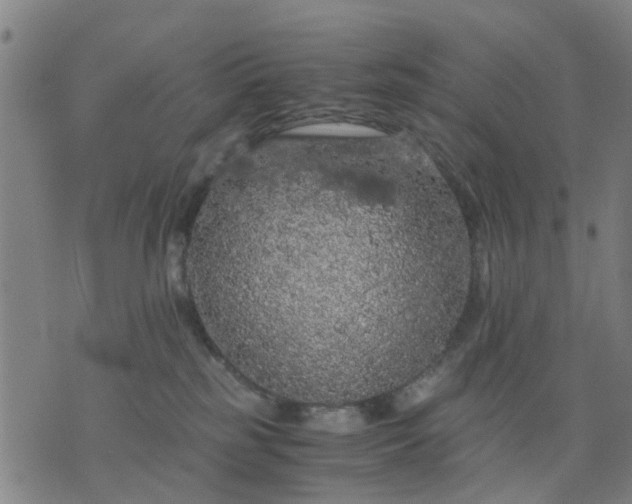 X0000076350185200610061535