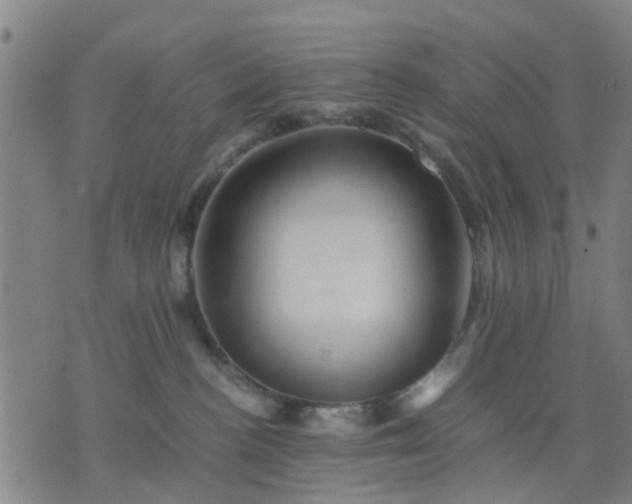 X0000076350188200610061535