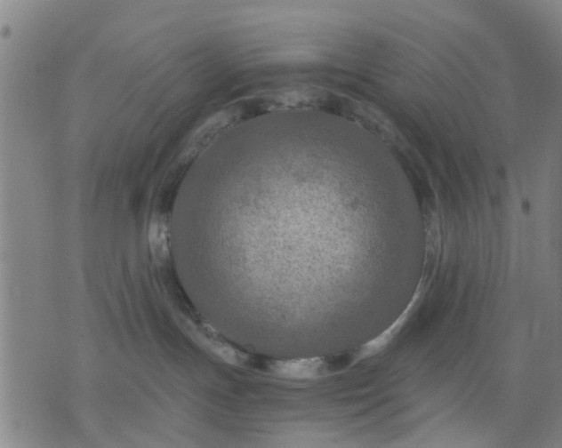 X0000076350191200610061535