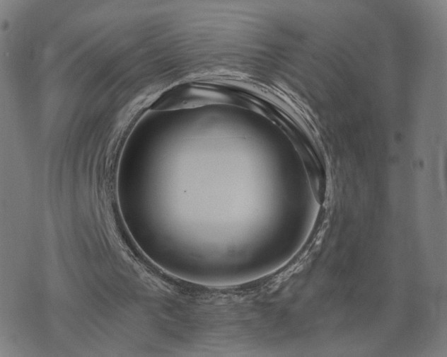 X0000076350193200610061534