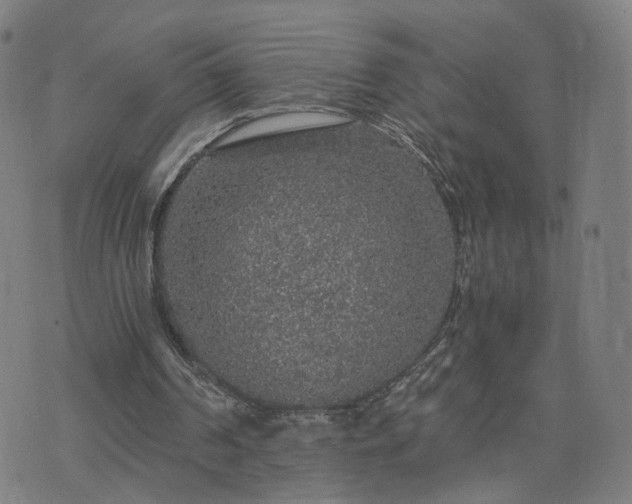 X0000076350194200610061534