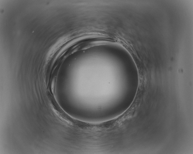 X0000076350197200610061534