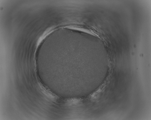 X0000076350198200610061534